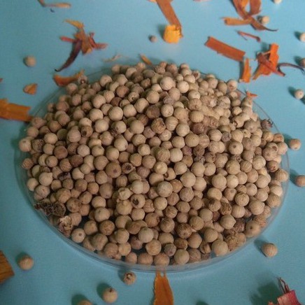 

Merica / Lada Putih / Ground White Pepper / Rempah / 100% PREMIUM QUALITY