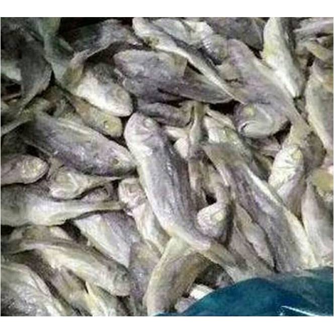 

Ikan Asin Kepala Batu / Gulama ( @ 250 Gr )