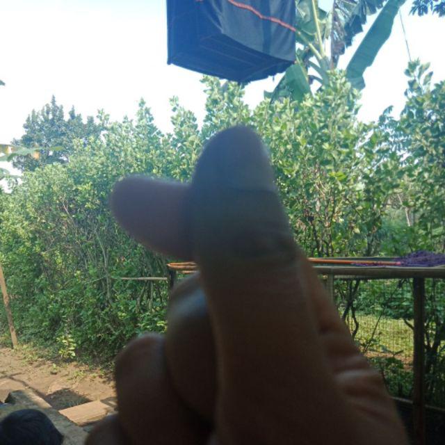 Maura Couple - Sania Ruffle Batik Couple Ori Ndoro Jowi Dnt Garansi Termurah Shopee - Shopashop Solo