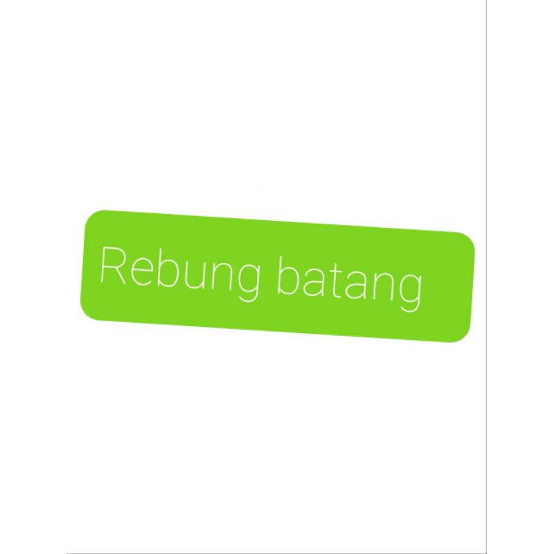 rebung utuh 1 kg