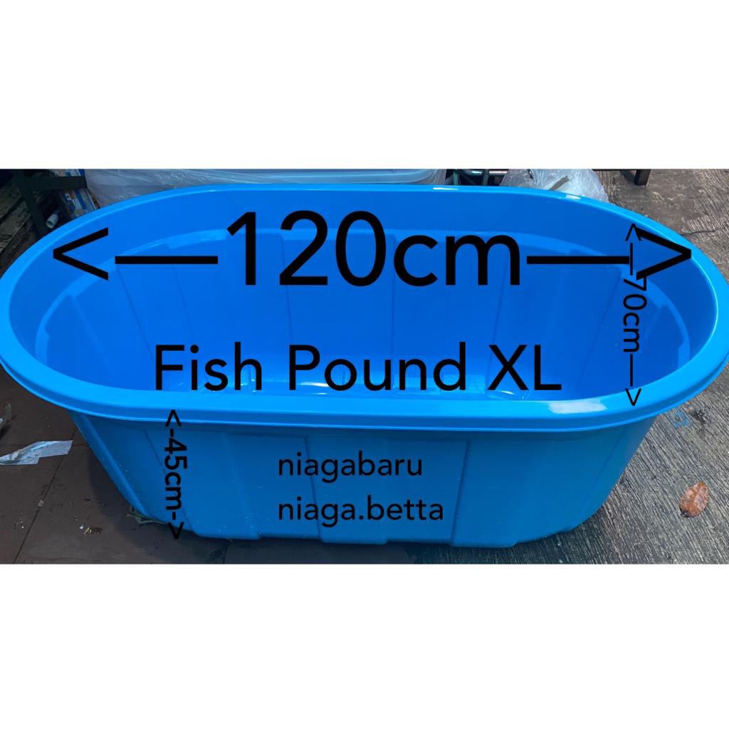Bak Kolam Ikan Besar Fishpound Taiwan XL BIRU
