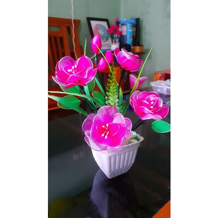 Bunga Hias Mini / Tanaman Hias Mini