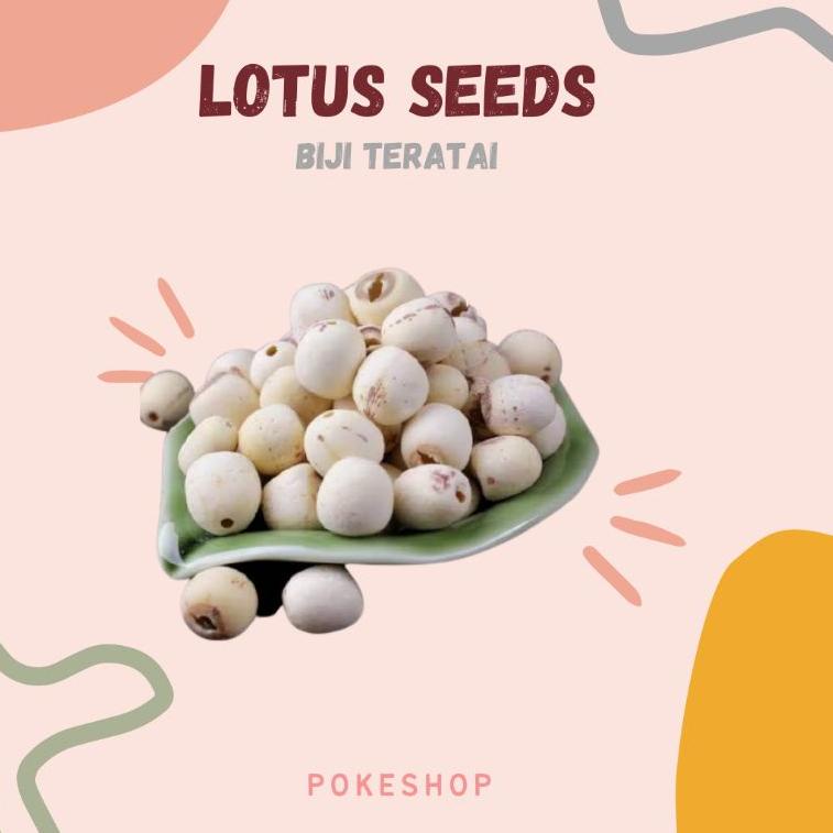 

み Lotus Seed - Biji Teratai - 50Gram ㊕