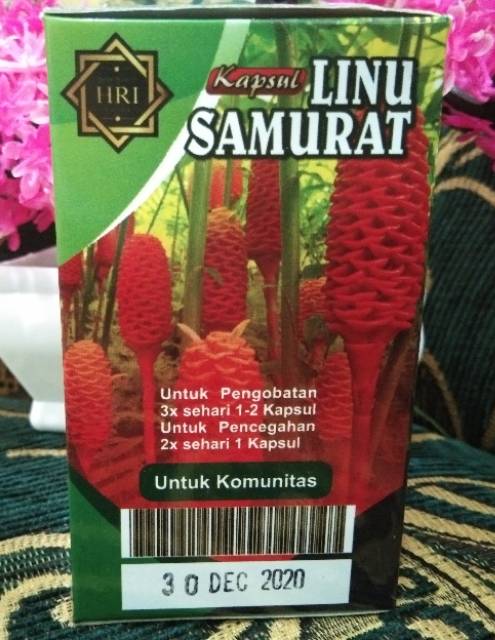 [[100%asli]]OBAT HERBAL KAPSUL OBAT LINU ASAMURAT SAMURAT