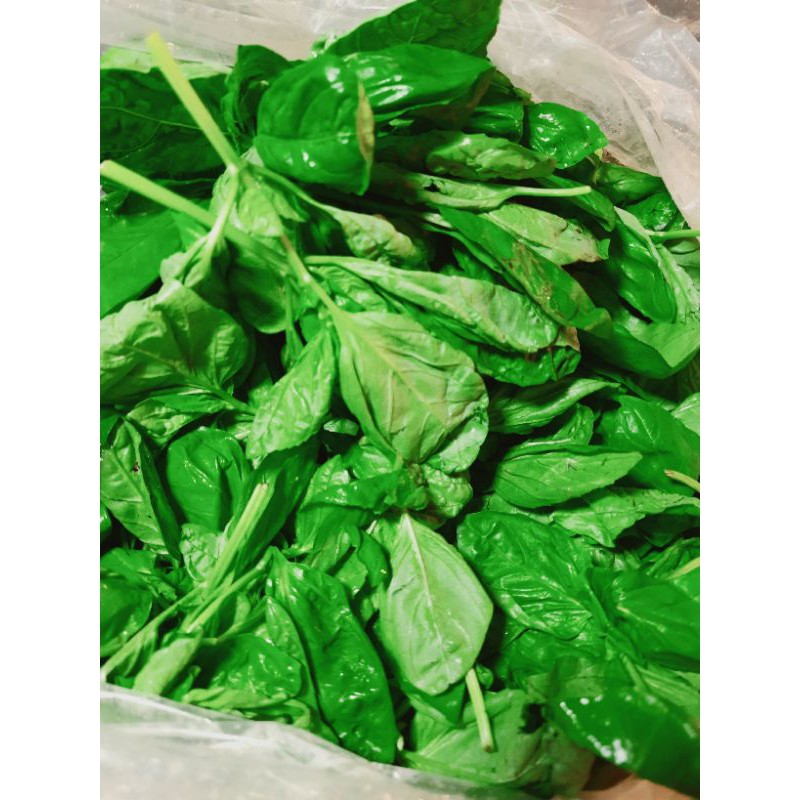 

daun basil segar 100 gram