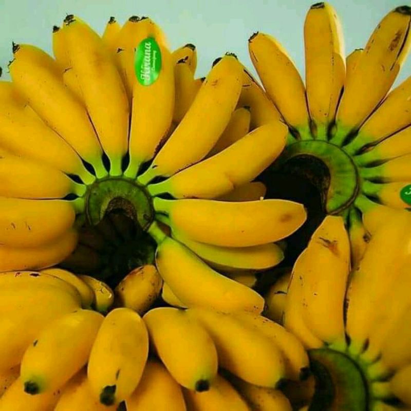 

pisang maas legit manis fresh per 1 sisir