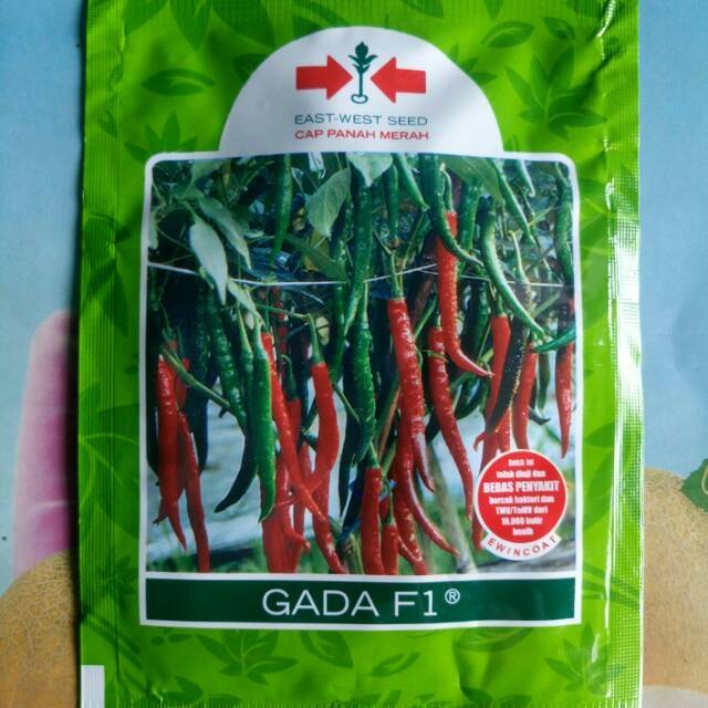 Jual Benih Bibit Cabe Merah Besar GADA F1 1500 Biji  Shopee Indonesia