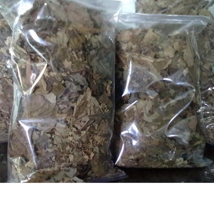 

Ready Now--500gr|1kg Daun Jati Belanda kering