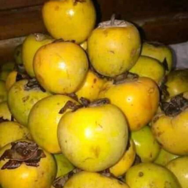 Buah kesemek 1 kg