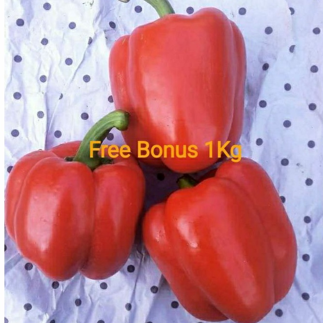 

Paprika Merah 1kg + Gratis Bonus