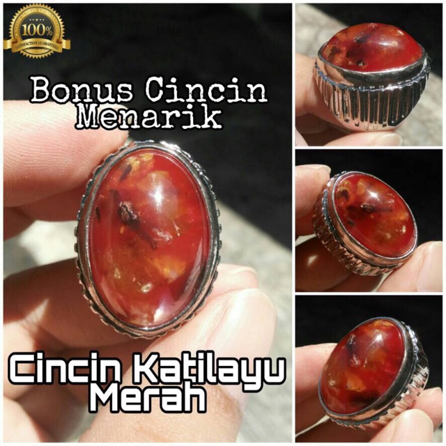 Cincin Fosil Getah Katilayu Merah