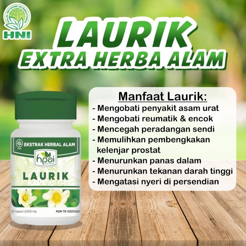 PROMO Laurik HNI HPAI Produk Herbal Alami