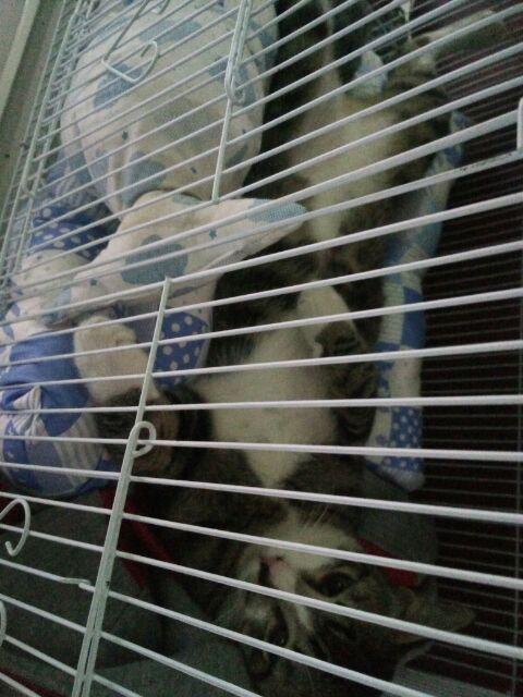 Bantal Alas Duduk 40x40cm