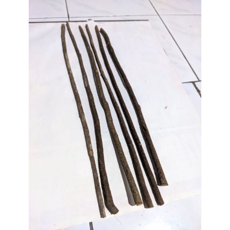 Tangkringan Burung pleci Konin Asem Bali kasar