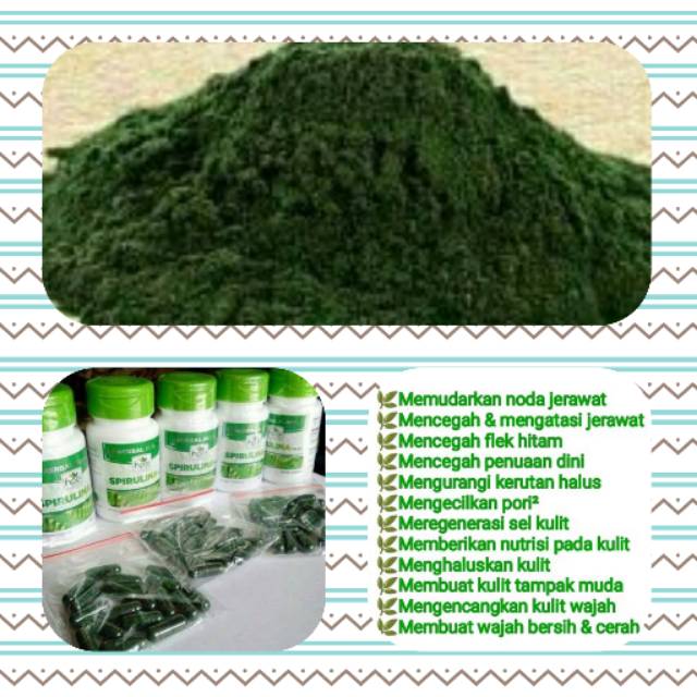 [MURAH] Masker Spirulina Murah  Maskerspirulina Original Masker Spirulina Asli