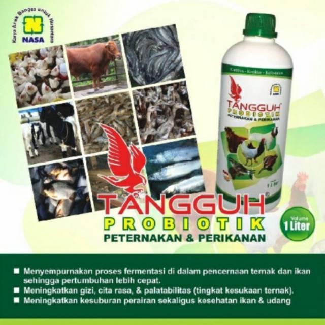 

TANGGUH PROBIOTIK