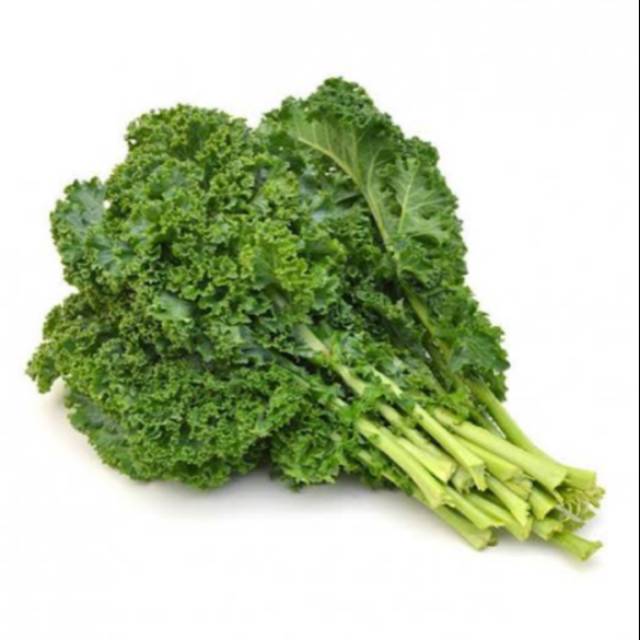 

Kale Culry Organik / Kale Keriting 250g