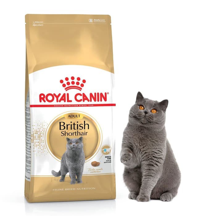 Royal Canin Adult British Shorthair Cat Food 2kg Makanan Kucing Dewasa