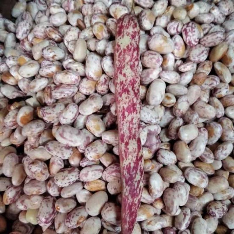 

kacang endul 250gr