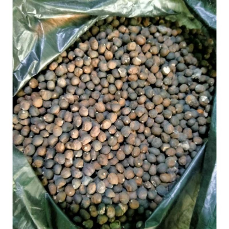 Biji kapuk randu klenteng 1Kg bersih