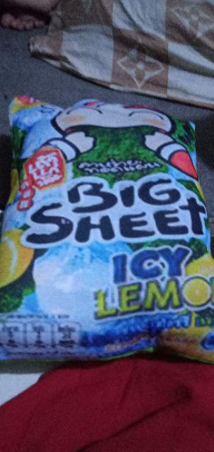 Bantal Snack Uk.30x40cm Motif Big Sheet Bahan Nilex