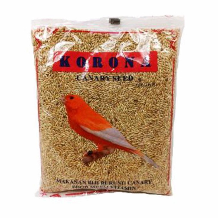 korona kenari seed/corona canary seed/kenari seed