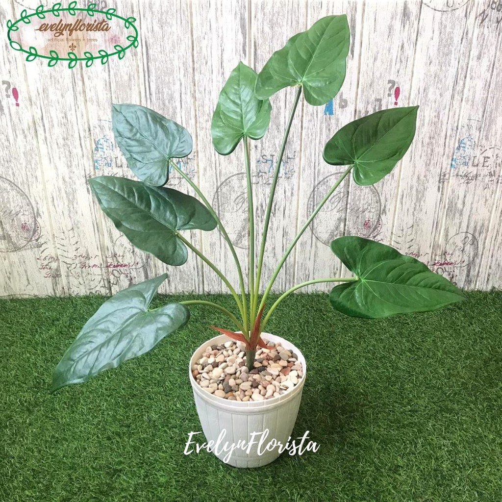 Pohon Artificial Daun Talas Latex Pot Putih Plastik Dekorasi Ruangan Kantor Hiasan Aesthetic