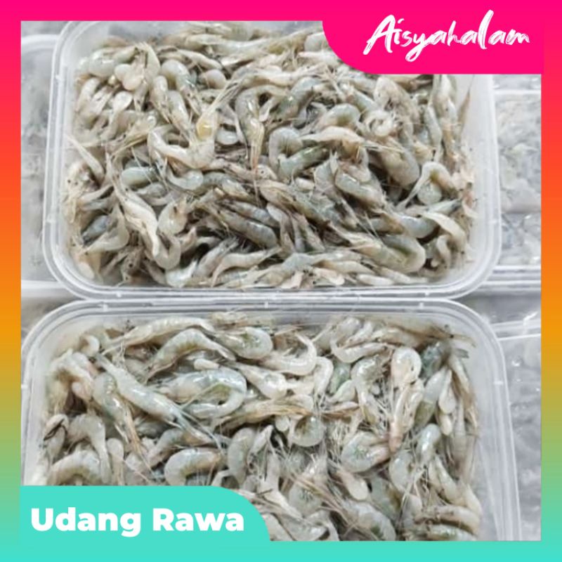 

UDANG AIR TAWAR | UDANG RAWA FRESH BEKU