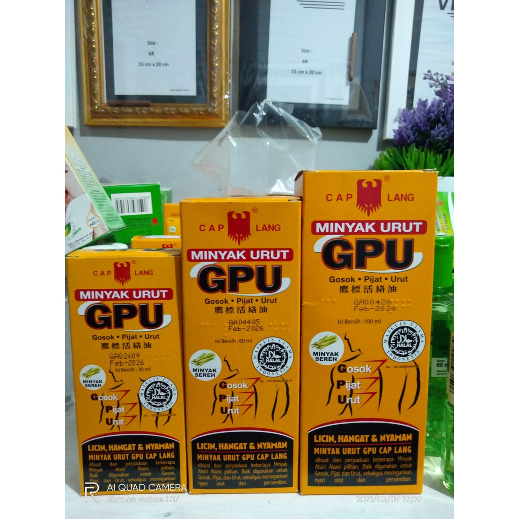 GPU minyak urut / gosok pijat urut