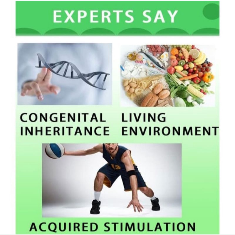 Mabrem Peninggi Badan Essential Oil