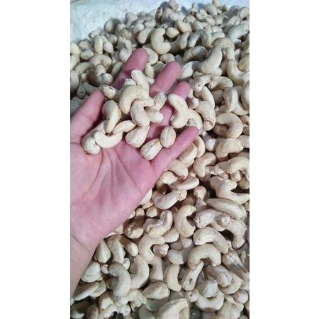 

kacang mete mentah