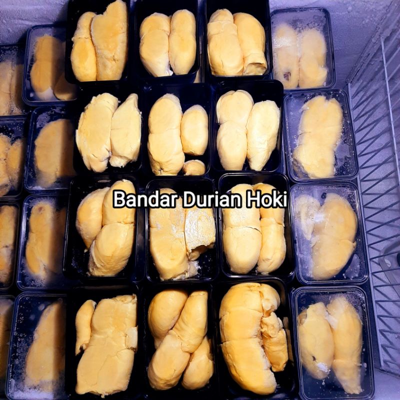 

DURIAN MONTONG SINGARAJA KUALITAS TERBAIK MANIS SUPER CREAMY 500gr
