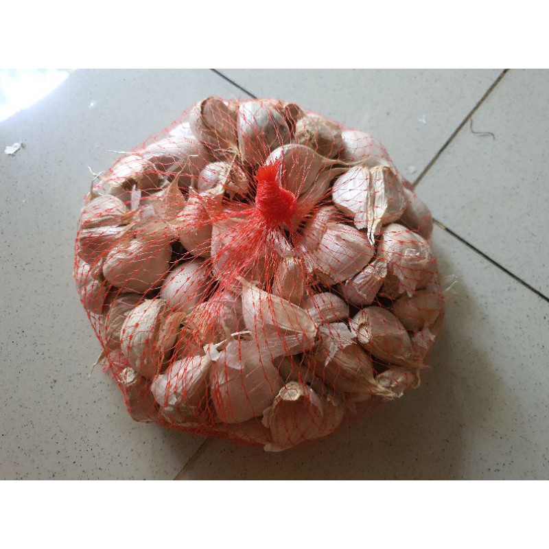 

bawang putih kating