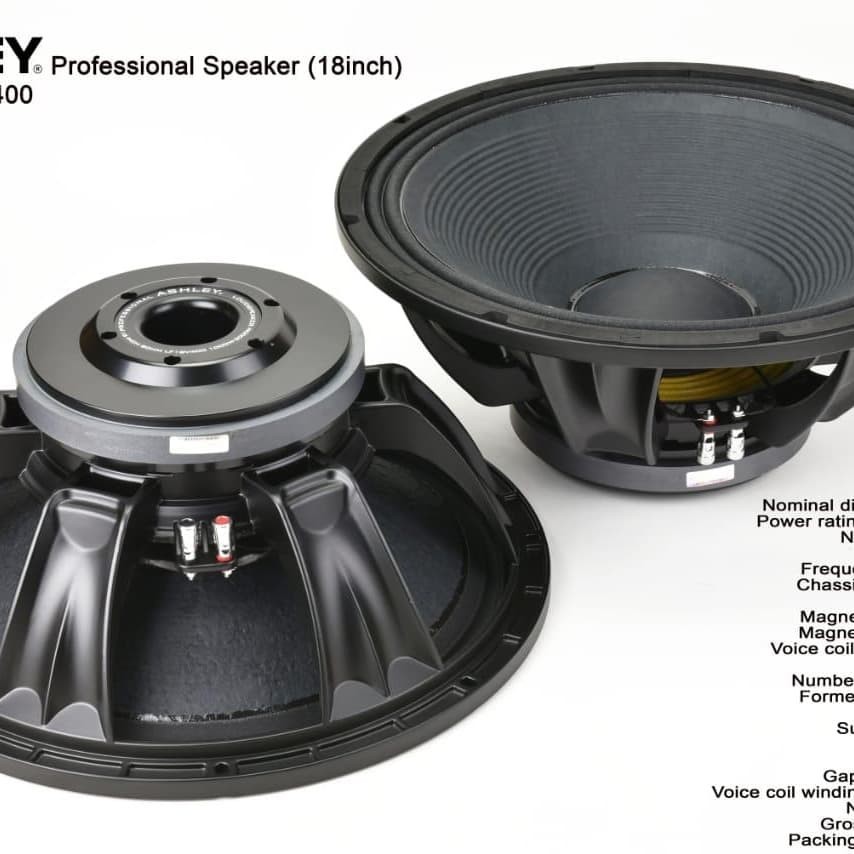 Speaker Ashley 18 inch 18v400