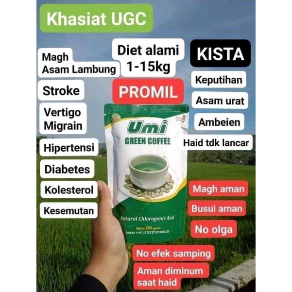 

Umi Green Coffee kopi herbal pelangsing badan