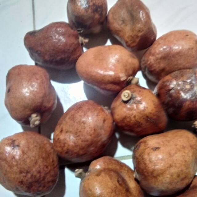 

1000 gr BUAH DZURIAT MESIR/ BUAH DOUM