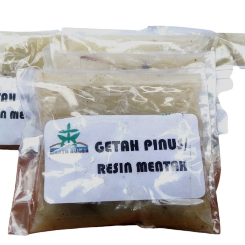 Getah Pinus Resin sarang Lebah Trigona Terlaris