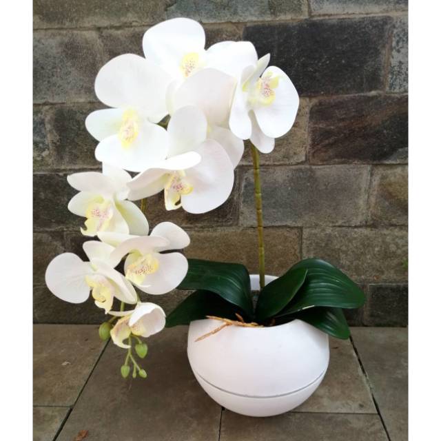 Anggrek Latex Pot Bola Shabby Chic Dekor