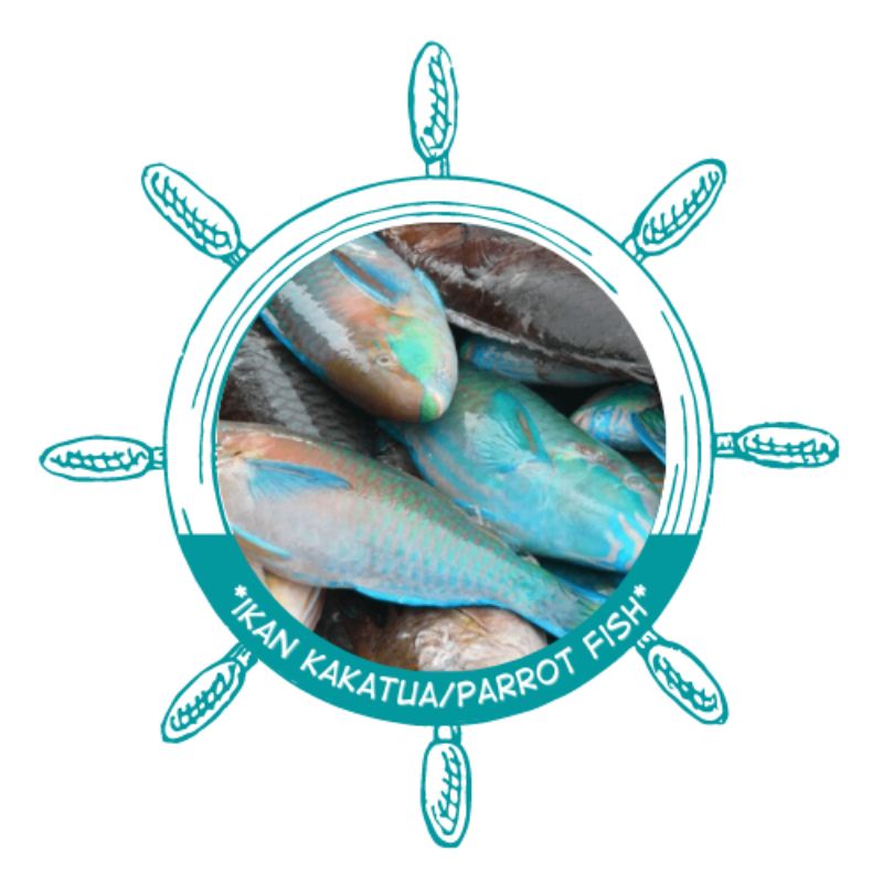 

ikan kakatua/parrot fish