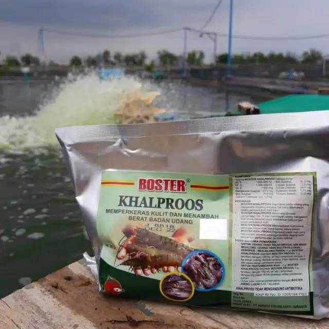 

BOSTER KHALPROOS 500 GRAM