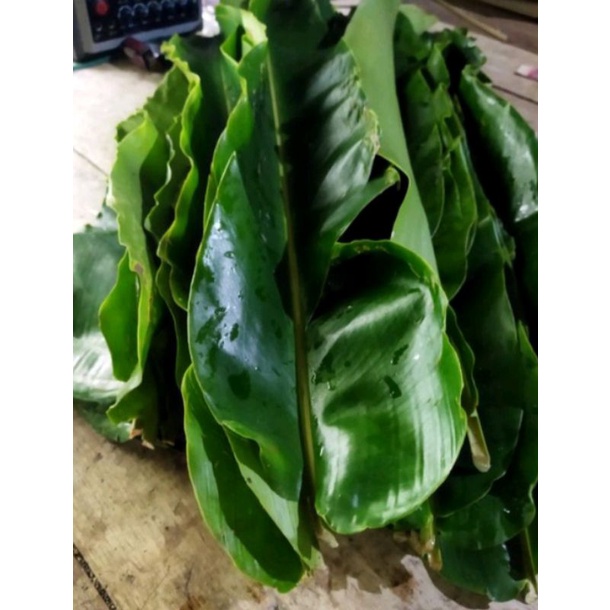 

Daun kecombrang/daun honje