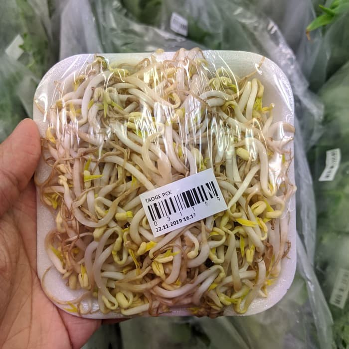 Jual Sayur Taoge Lokal 90 100 Gram 1 Pack Sayuran Shopee Indonesia