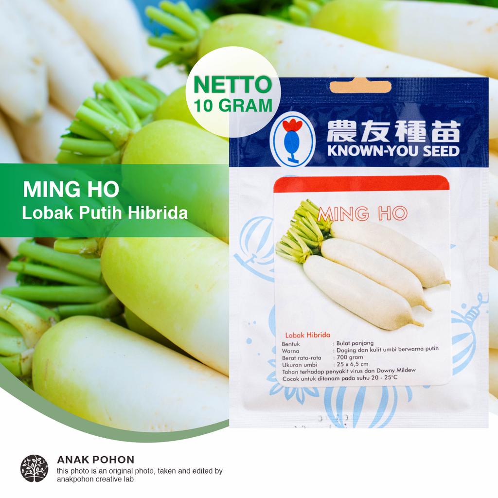 (1 PACK) Benih Lobak Putih Ming Ho F1 White Radish Mingho Hibrida - Known You Seed KYS - 10 GRAM