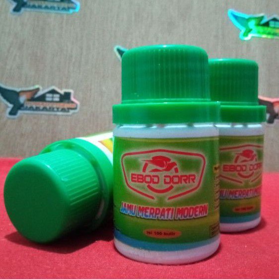 jamu vitamin burung merpati dara ebod dorr dor lomba kolongan balap pos tomprang stut speed kencang