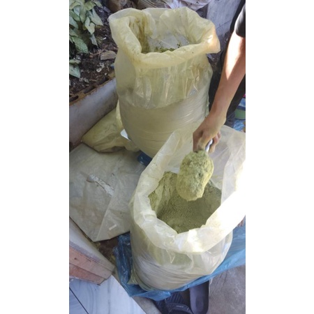 

bubuuk hijau supeeer green
