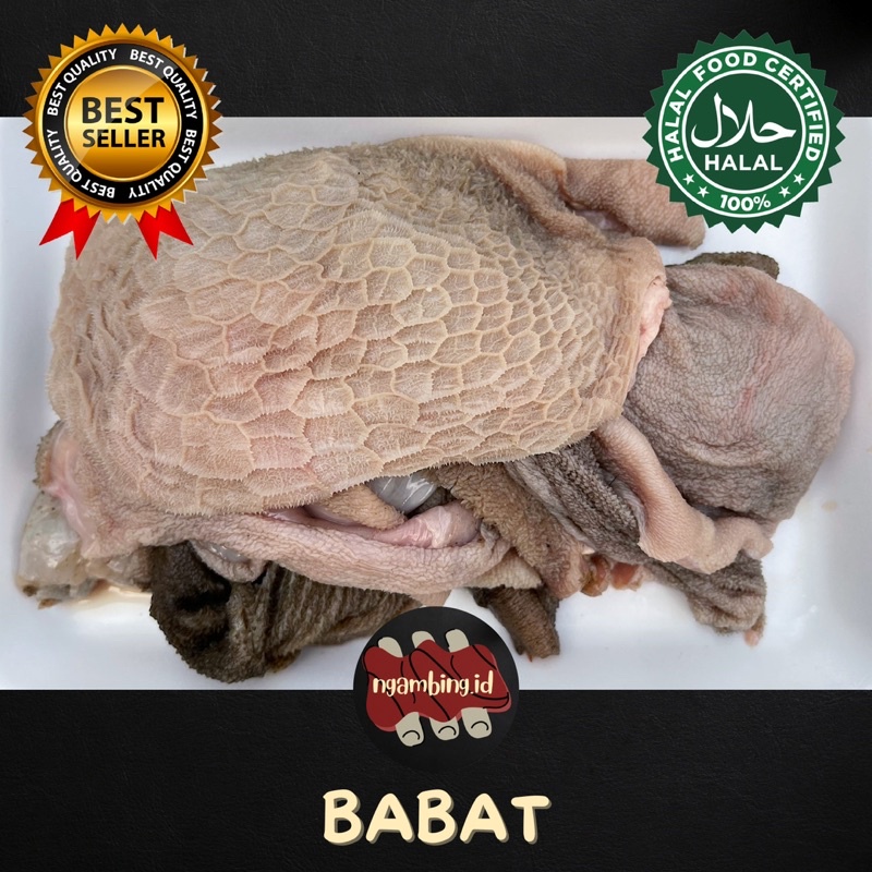 

JEROAN BABAT KAMBING DOMBA - PREMIUM FRESH TERMURAH