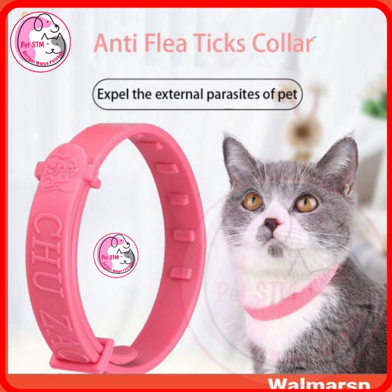 Kalung kucing Anti Kutu Pinjal | Kalung Anti Kutu Anjing Kucing - Aksesoris Kalung Kucing