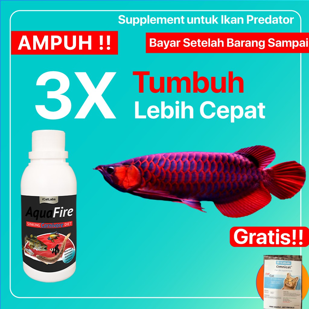 510 Vitamin Untuk Ikan Hias Air Laut Gratis Terbaik