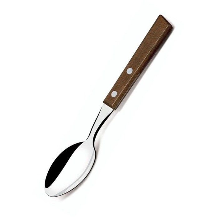 Made in Brazil Sendok Makan Gagang Kayu TRAMONTINA set 3pc Spoon