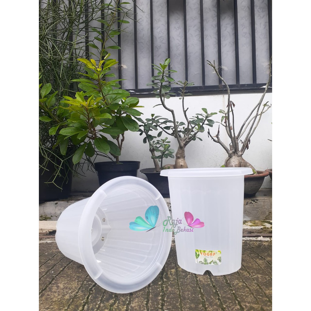 Pot Yogap 15 Transparan Bening Clear Diameter 17cm  Pot Tinggi Tebal Berkualitas Grosir Pot Yogap 10 13 15 17 18 Putih Transparan Bening Coklat Bata Murah